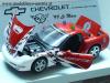 Chevrolet Corvette C5 Coupe 1999 Le Mans SAFETY CAR 1:18