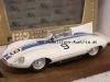 Jaguar D Type Le Mans 1955 WALTERS / SPEAR 1:43